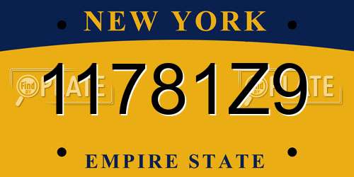 11781Z9 New York License Plate