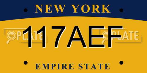 117AEF New York License Plate