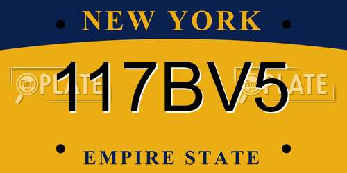 117BV5 New York License Plate