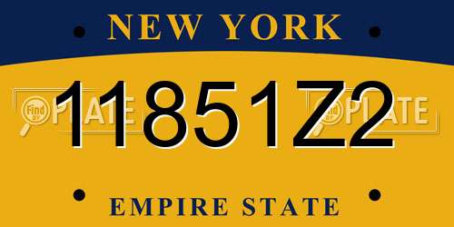 11851Z2 New York License Plate