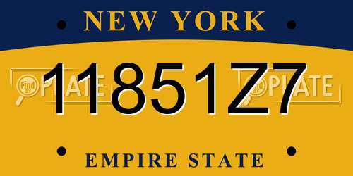 11851Z7 New York License Plate