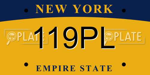 119PL New York License Plate