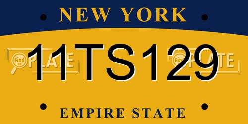 11TS129 New York License Plate