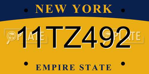 11TZ492 New York License Plate