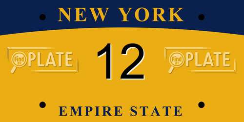 12 New York License Plate