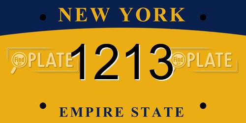 1213 New York License Plate