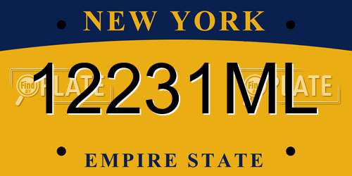 12231ML New York License Plate