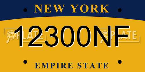 12300NF New York License Plate