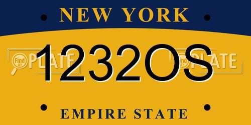 1232OS New York License Plate