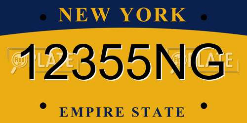 12355NG New York License Plate
