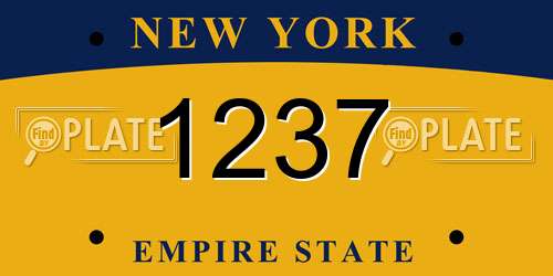 1237 New York License Plate