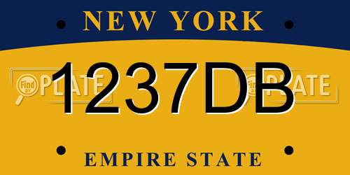 1237DB New York License Plate