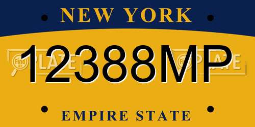12388MP New York License Plate