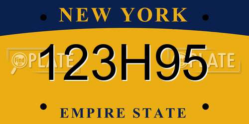 123H95 New York License Plate