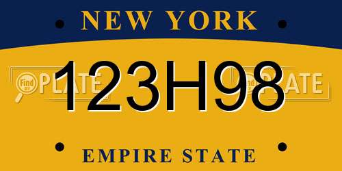 123H98 New York License Plate