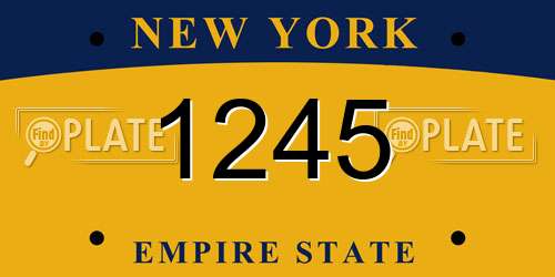 1245 New York License Plate