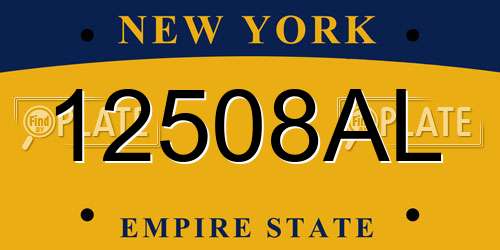 12508AL New York License Plate