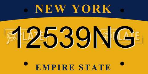 12539NG New York License Plate
