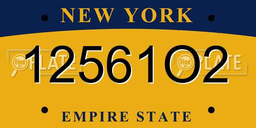 12561O2 New York License Plate