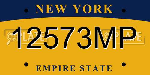 12573MP New York License Plate