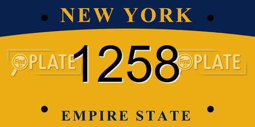1258 New York License Plate