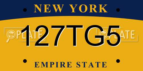 127TG5 New York License Plate