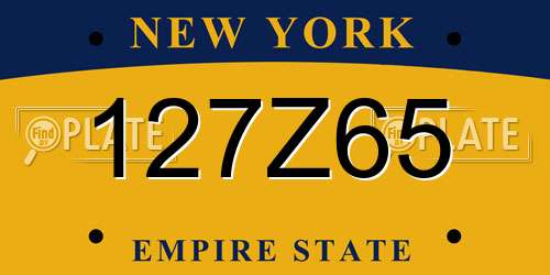 127Z65 New York License Plate