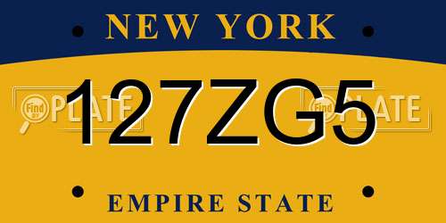 127ZG5 New York License Plate