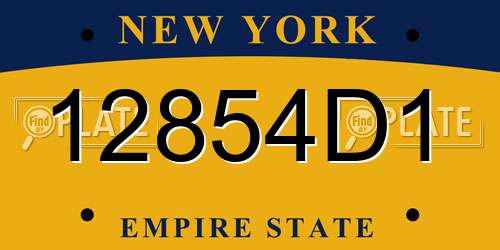 12854D1 New York License Plate