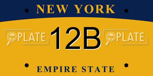 12B New York License Plate