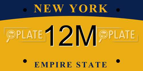 12M New York License Plate
