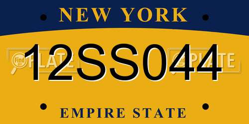 12SS044 New York License Plate