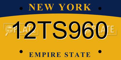 12TS960 New York License Plate