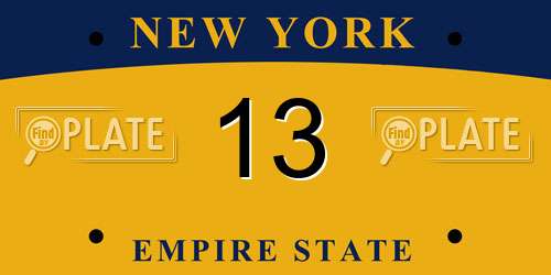 13 New York License Plate