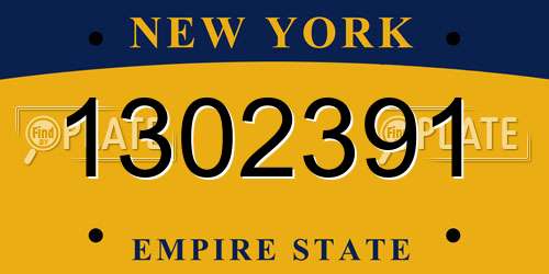 1302391 New York License Plate