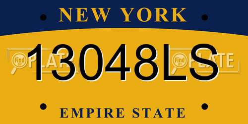 13048LS New York License Plate