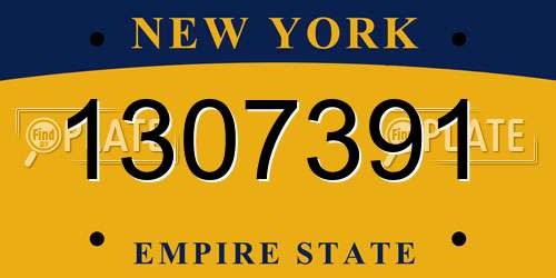 1307391 New York License Plate