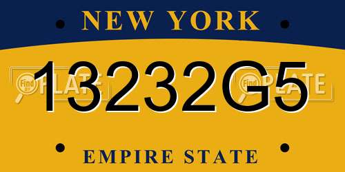 13232G5 New York License Plate