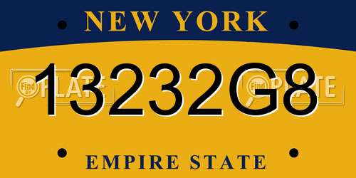 13232G8 New York License Plate