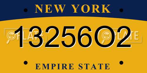 13256O2 New York License Plate