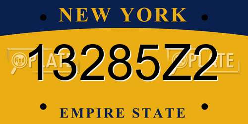 13285Z2 New York License Plate