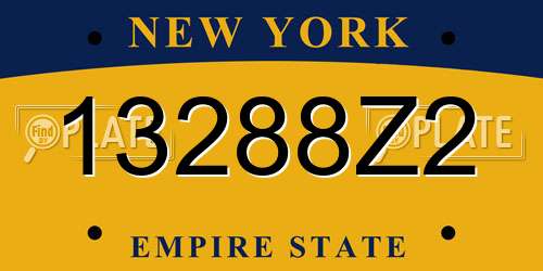 13288Z2 New York License Plate