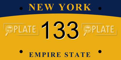 133 New York License Plate