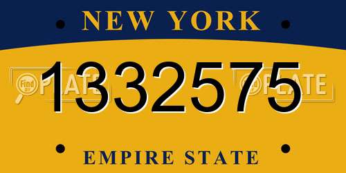 1332575 New York License Plate