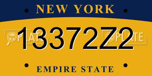 13372Z2 New York License Plate