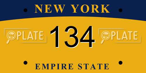 134 New York License Plate