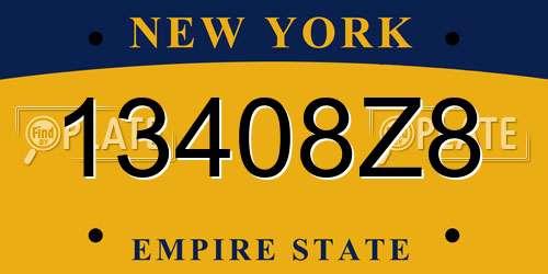 13408Z8 New York License Plate