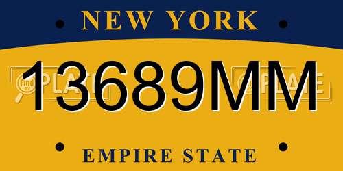 13689MM New York License Plate