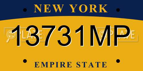 13731MP New York License Plate