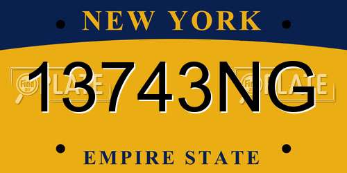 13743NG New York License Plate